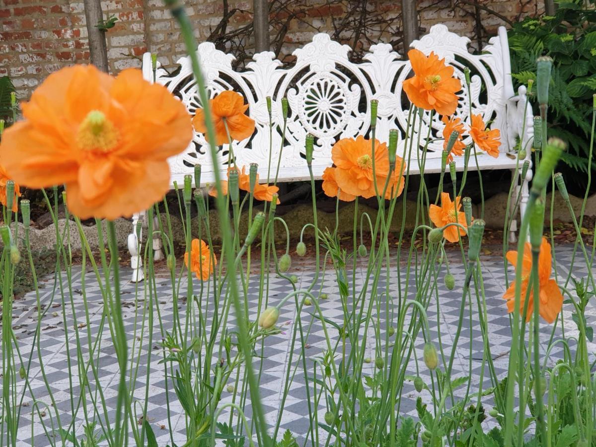 Bed & Breakfast Exterlaer Antwerpen Bagian luar foto